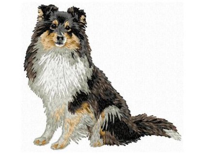 DD166SheltieBody90