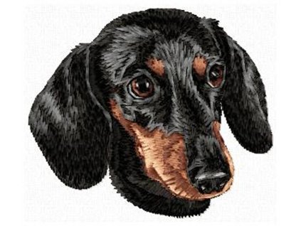 DD167DachshundHead70