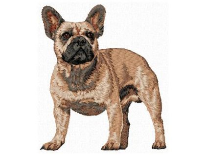 DD168FrenchBulldogBody90