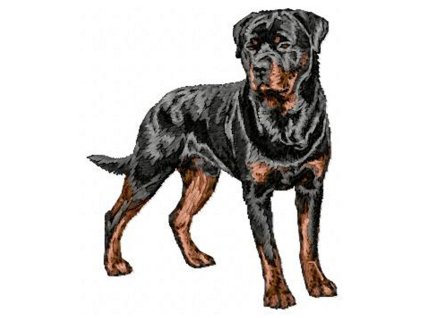 DD169Rottweiler With a Tail90