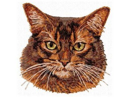 abyssinian cat embroidery design
