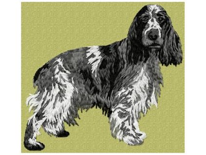 DD192ECSpanielBody95