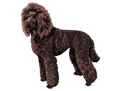 DD201PoodleBody(braun)100