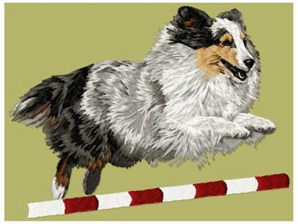 LargeDD204ShetlandSheepdog120
