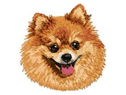 DD209PomeranianHead65