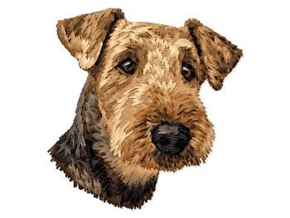 DD214WelshTerrierHead65