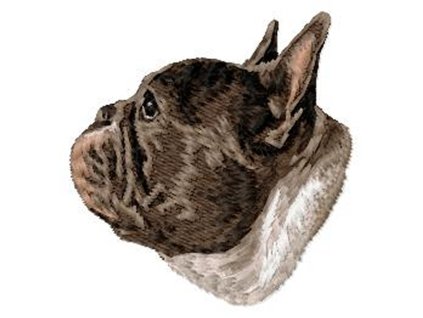DD226FrenchBulldog65