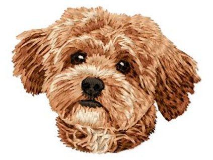 maltipoo embroidery design