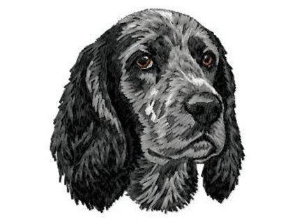 DD229ECockerSpaniel65