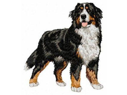 bernese mountain dog embroidery design