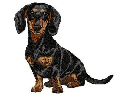 dachshund embroidery design
