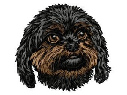 DD238BolonkaZwetna65