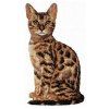 bengal cat embroidery design