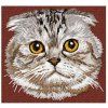 scottish fold embroidery design
