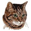 domestic cat head embroidery design