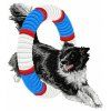 border collie agility embroidery design