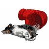 border collie agility embroidery design
