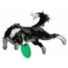 border collie agility embroidery design
