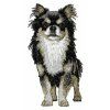 chihuahua body embroidery design