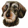 dachshund embroidery design