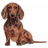 dachshund body embroidery design