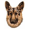 DD42 German Shepherd