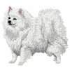 DD46 German Spitz