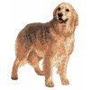 golden retriever body embroidery design