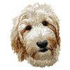 goldendoodle-embroidery-design
