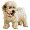 DD55 Bichon Havanese body cream