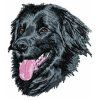 hovawart embroidery design