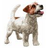jack russel terrier ebroidery design