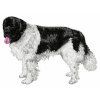 landser embroidery file