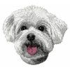 maltese embroidery design