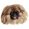 pekinese embroidery design