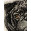pug embroidery detail