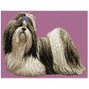 DD88 Shih Tzu body