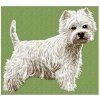 west highland white terrier
