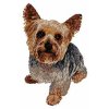 DD97 Yorkshire Terrier body
