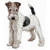 DD103 Fox Terrier body