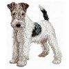 fox terrier