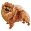 pomeranian