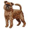brussels griffon