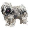 tibetan terrier