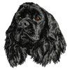 american cocker spaniel