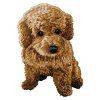 toy poodle