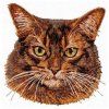 abyssinian cat embroidery design
