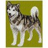alaskan malamute embrodiery design