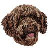 spanish water dog embroidery design