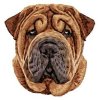 DD216SharPei65